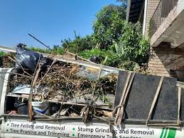 Best Foreclosure Cleanout  in Tampa, FL