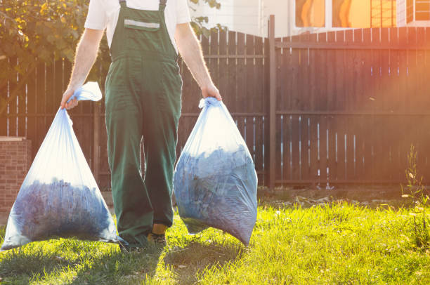 Best Basement Cleanout  in Tampa, FL